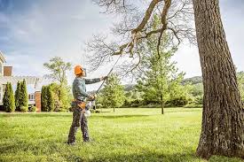 Best Tree Mulching  in Kerman, CA